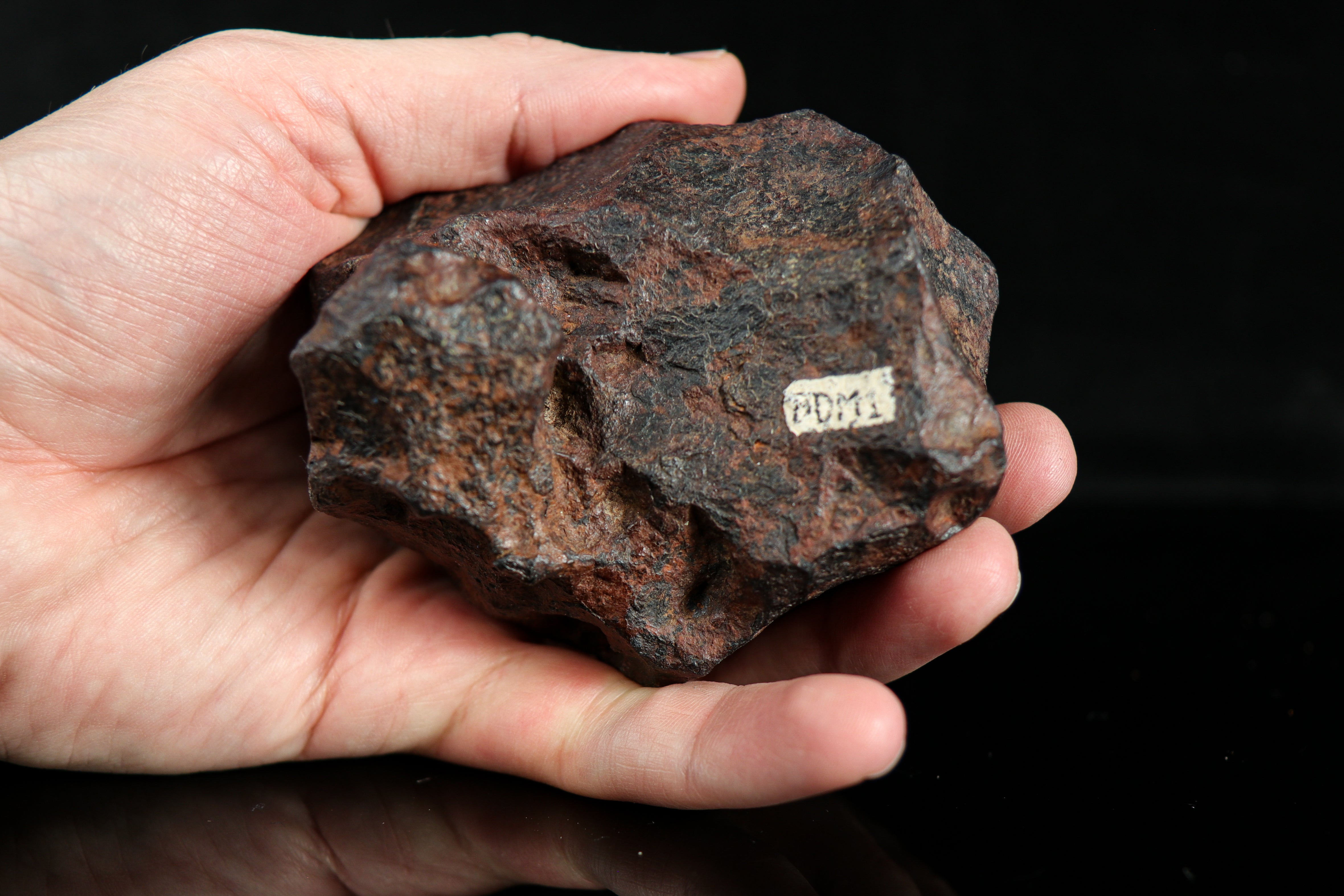 Odessa, Sculpted Iron Meteorite with Historic Bruce Dodd