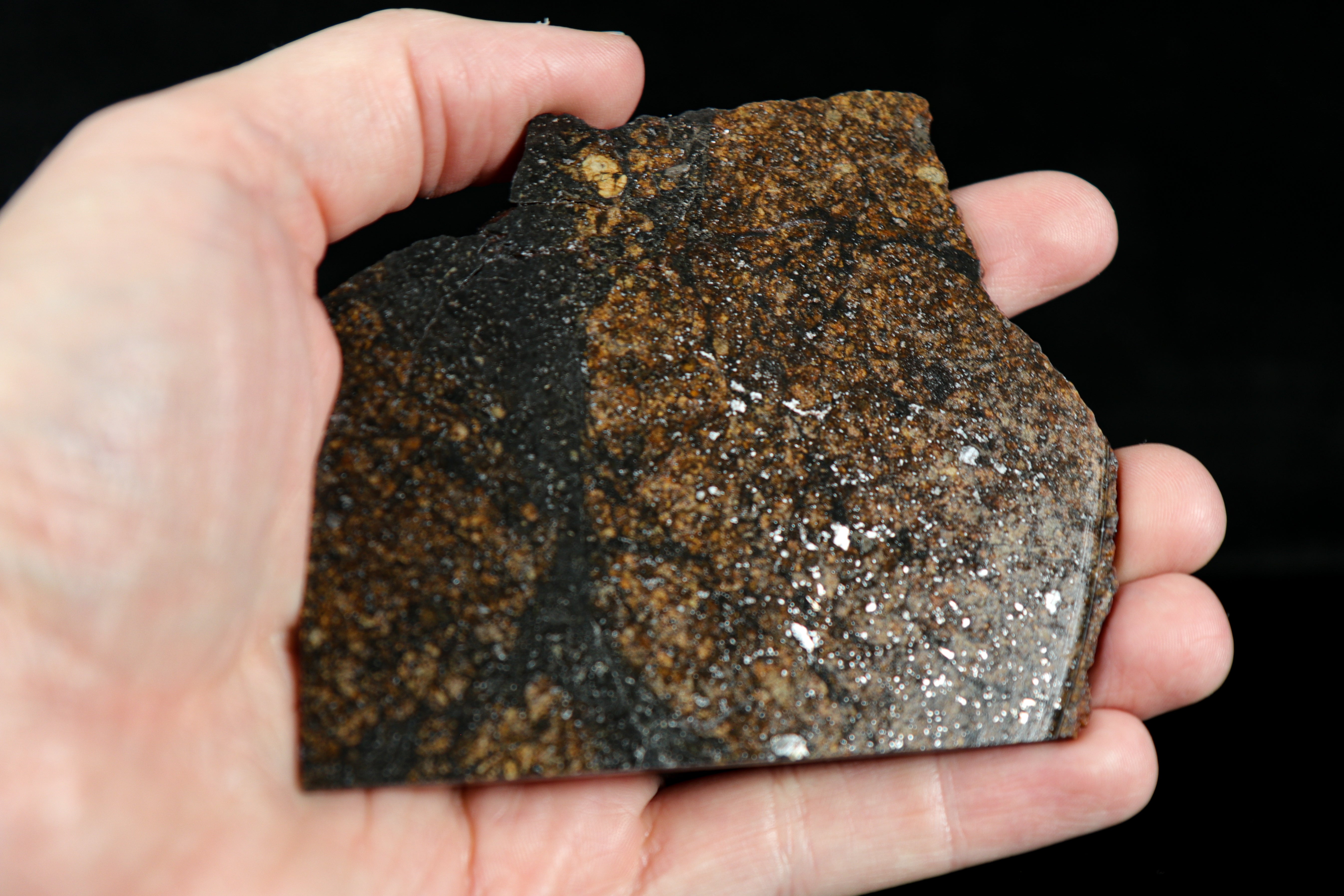 Meteorite Slice - NWA 10213 Chondrite with Huge Shock Veins, Type L6 - 56.75 grams