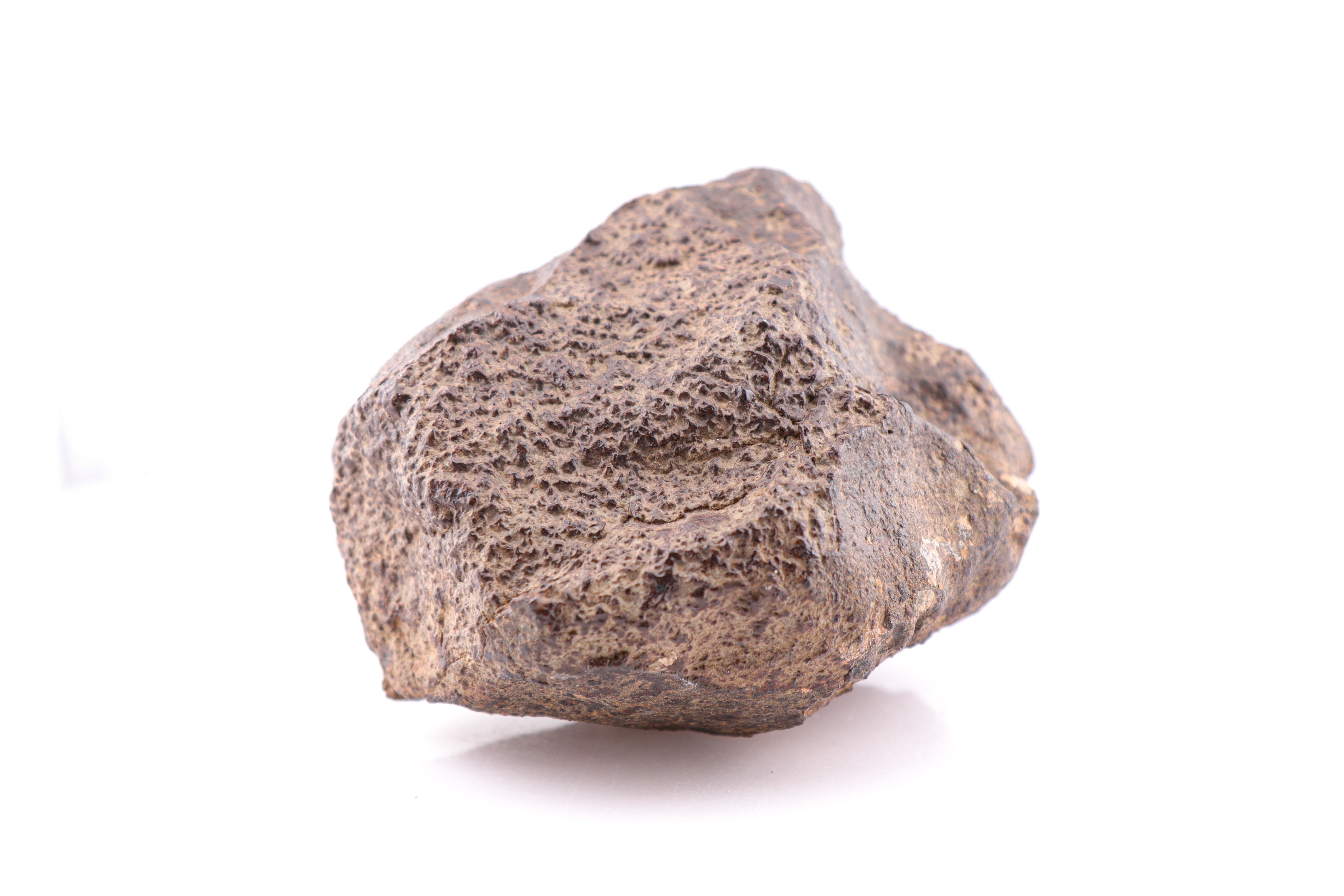 Midnight Meteorites