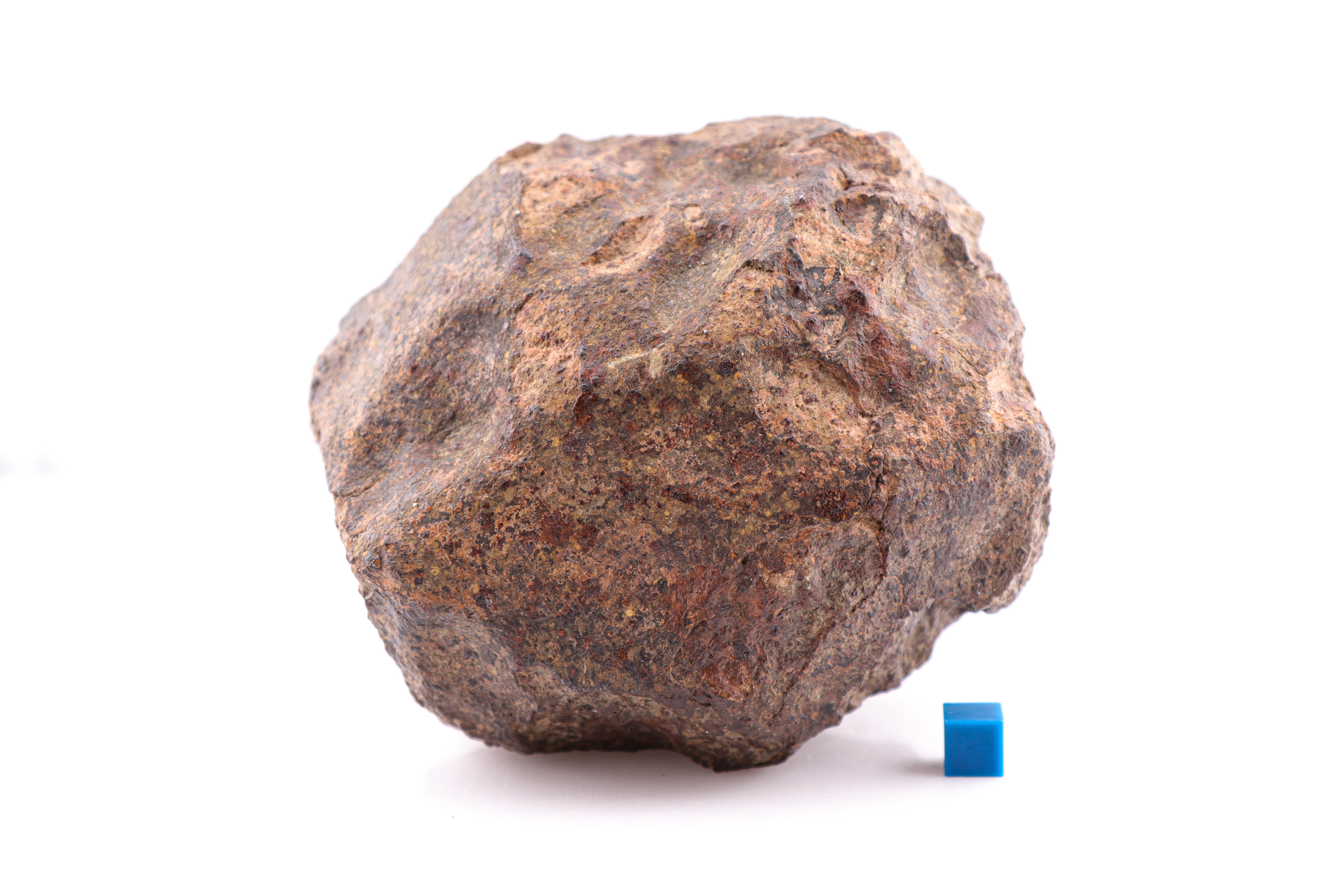 Large (2kg+) Chondrite Meteorite with Regmaglypts and Remnant Fusion Crust - 2178 grams