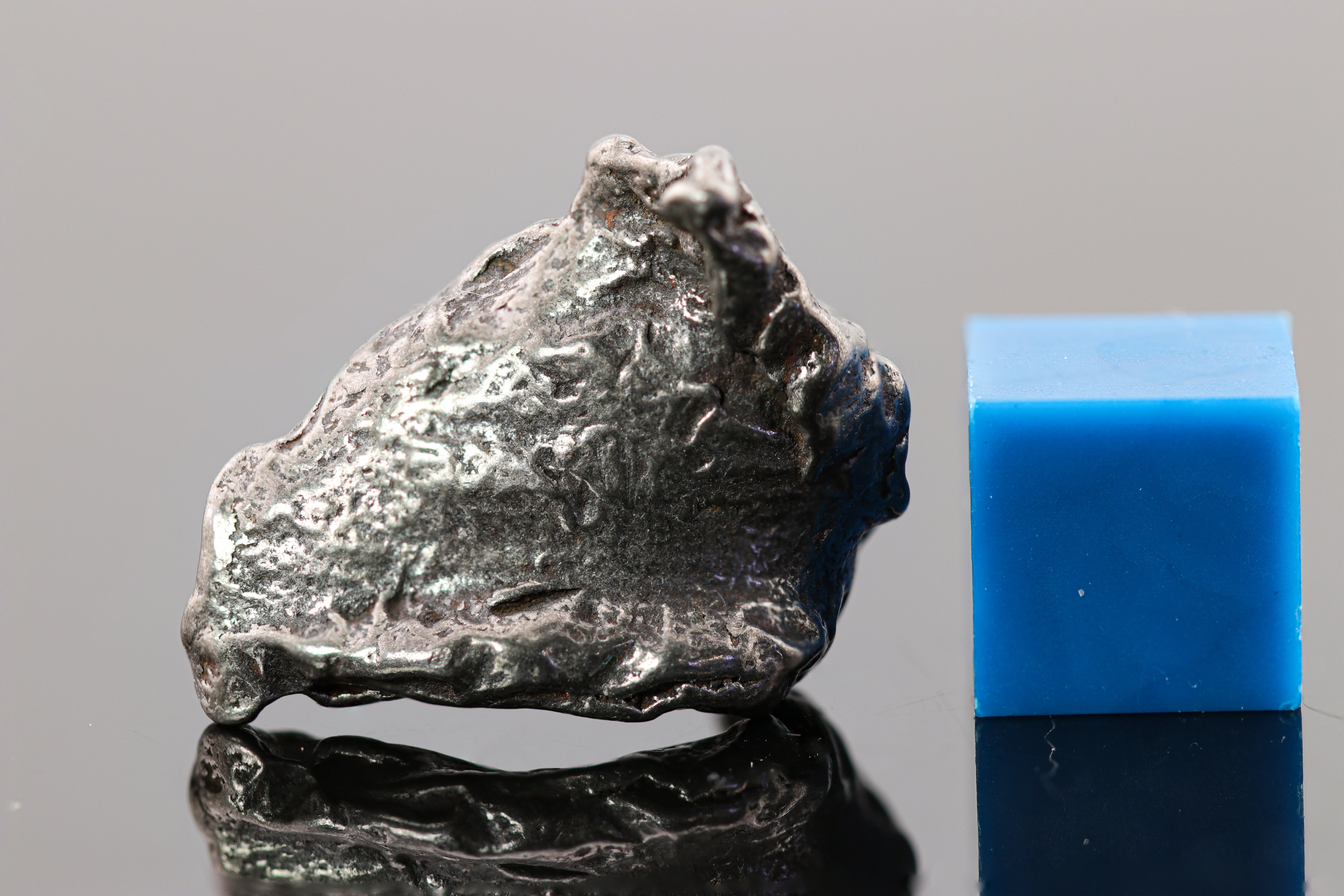 Gebel Kamil Iron Meteorite (Cleaned) Hook Shaped Shrapnel with Rollover Lip - 8.04 grams