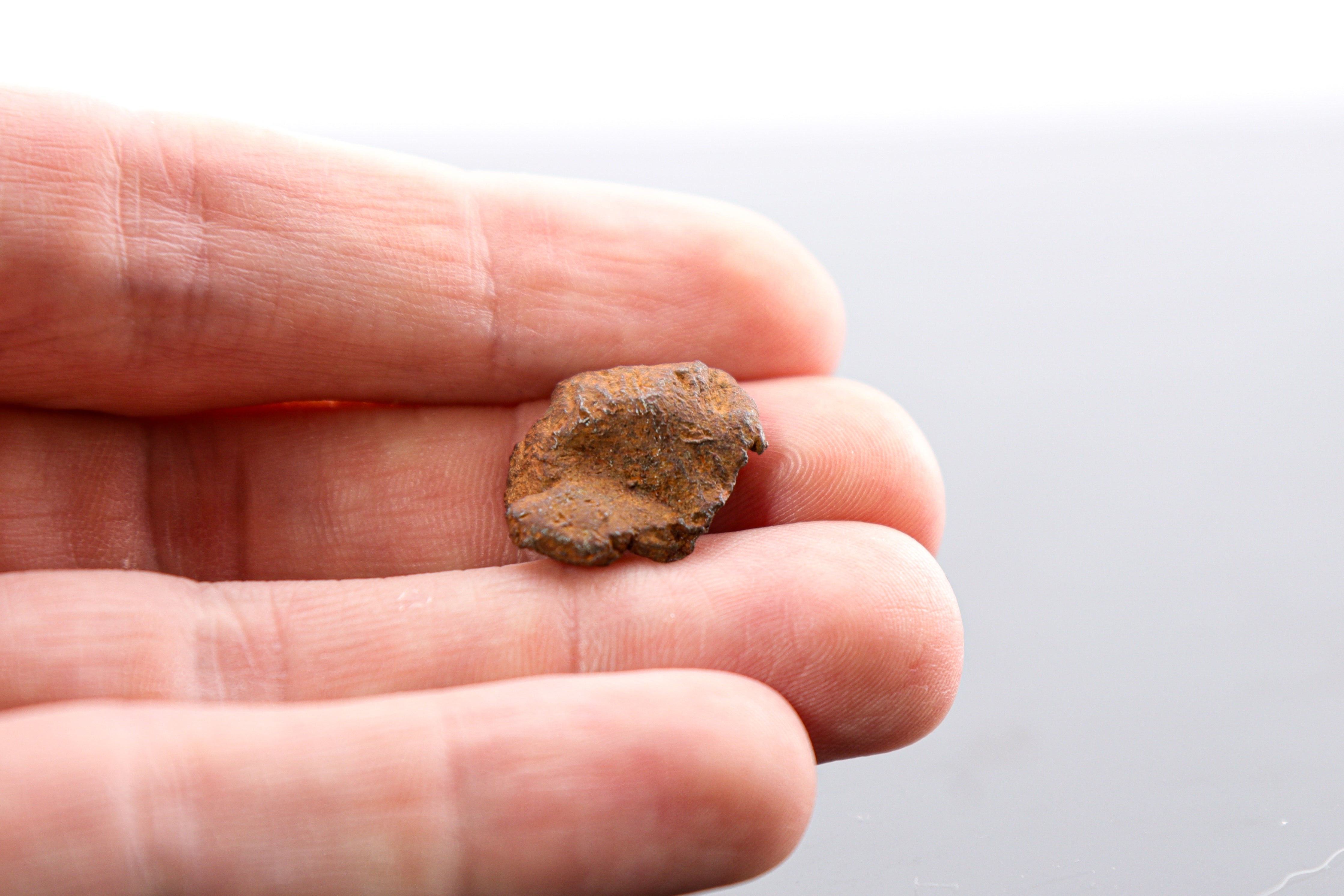 Midnight Meteorites
