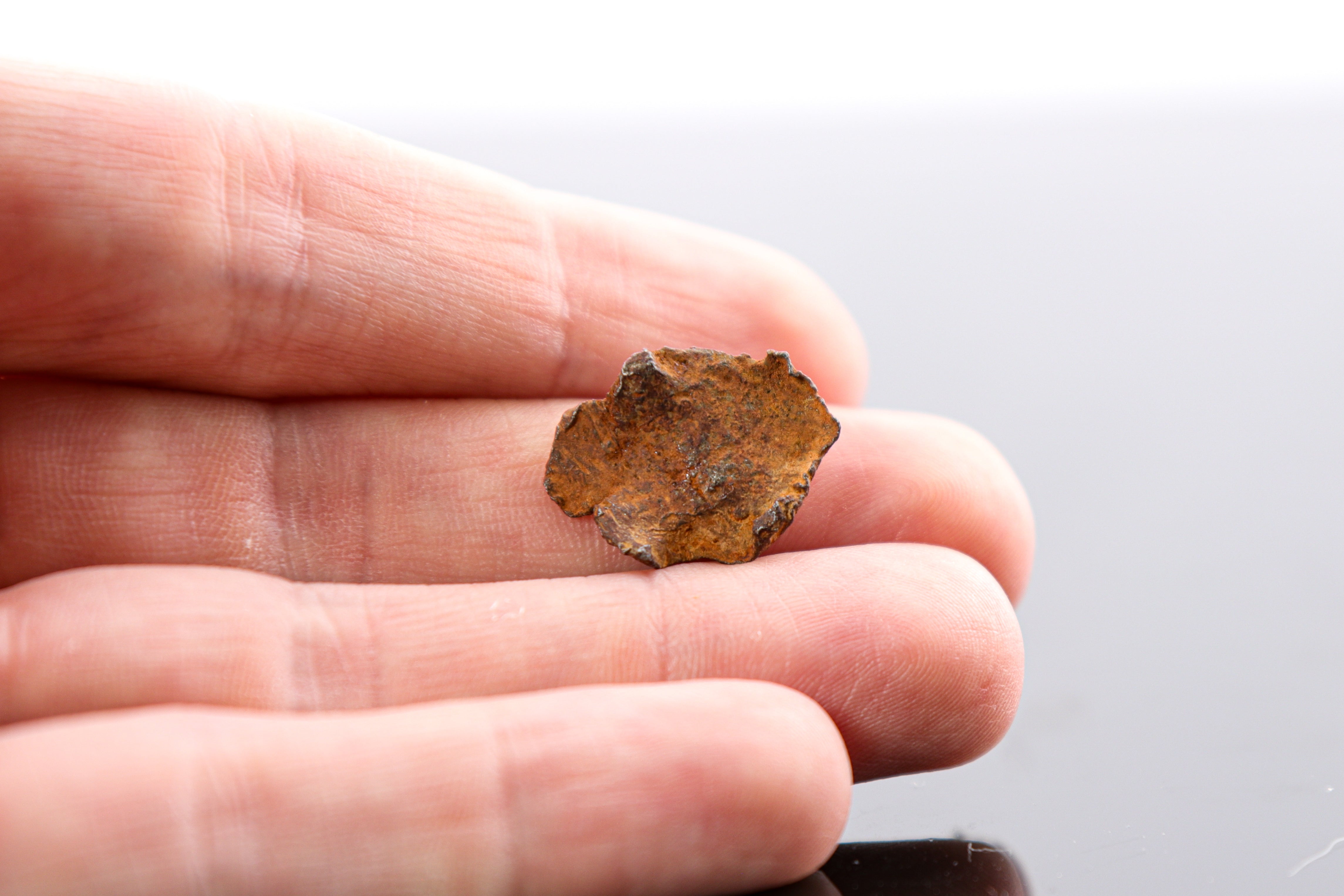 Midnight Meteorites