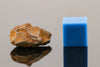 Gebel Kamil Iron Meteorite with Desert Scorched Sienna Patina and Rollover Lipping - 3.97 grams