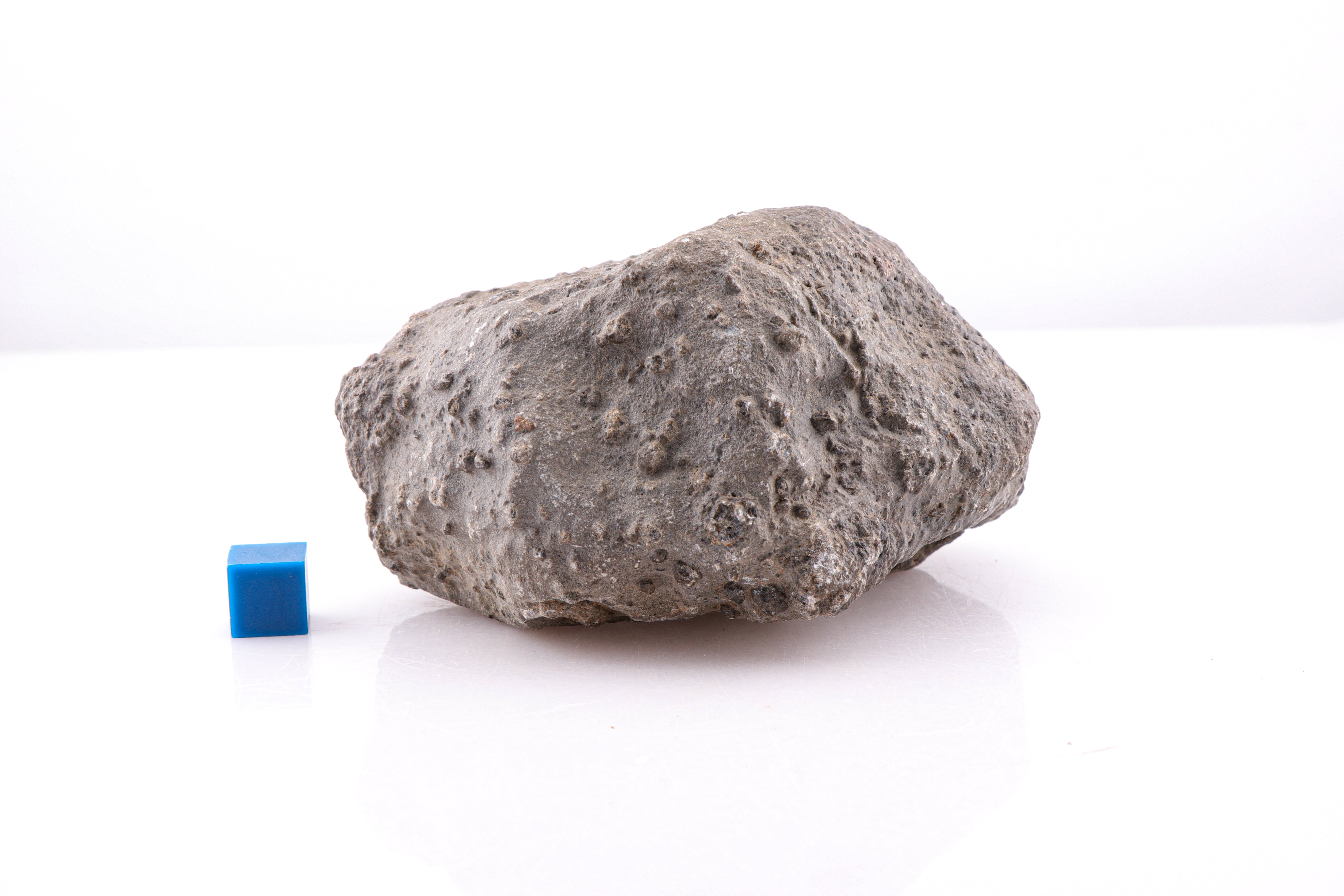 Asteroid Vesta Eucrite Meteorite Classified as Jikharra 001, Fist-Sized Rounded Stone with Protrusions and Remnant Crust - 442.39 grams