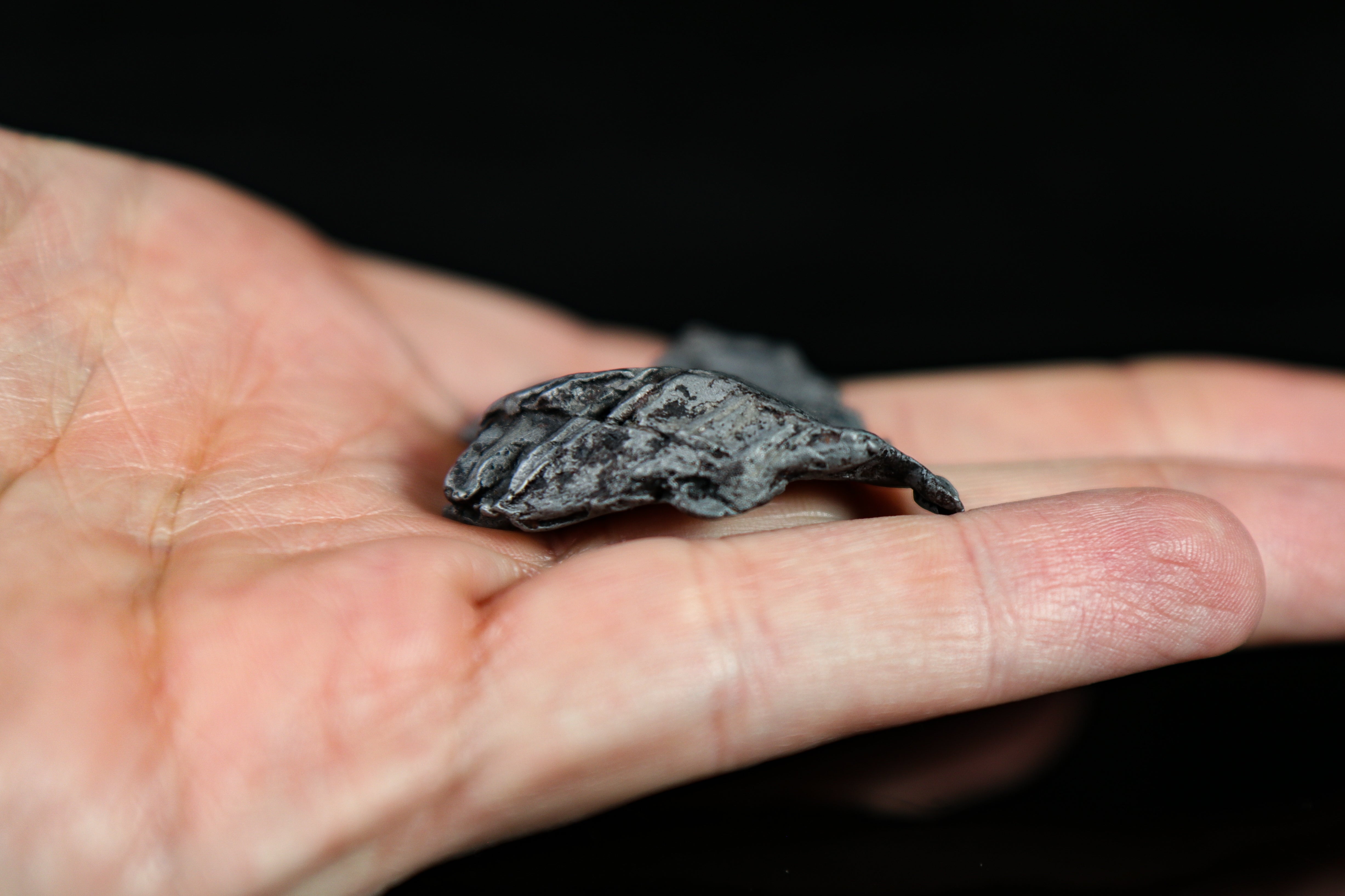 Sikhote-Alin Iron Meteorite, Shield Shaped Shrapnel - 38.16 grams