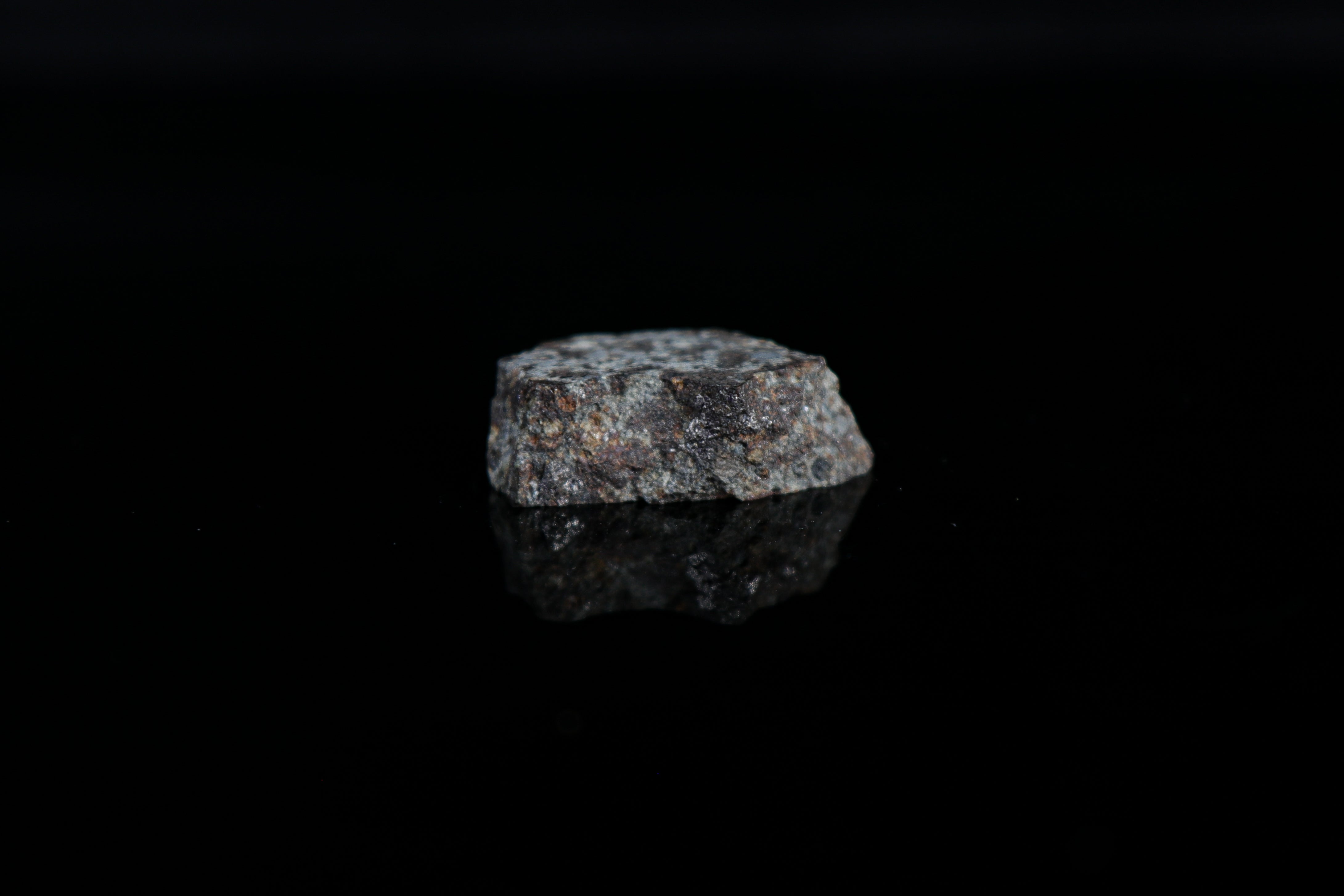 Waltman, L4 Chondrite Polished Thick Slice - 11.54 grams