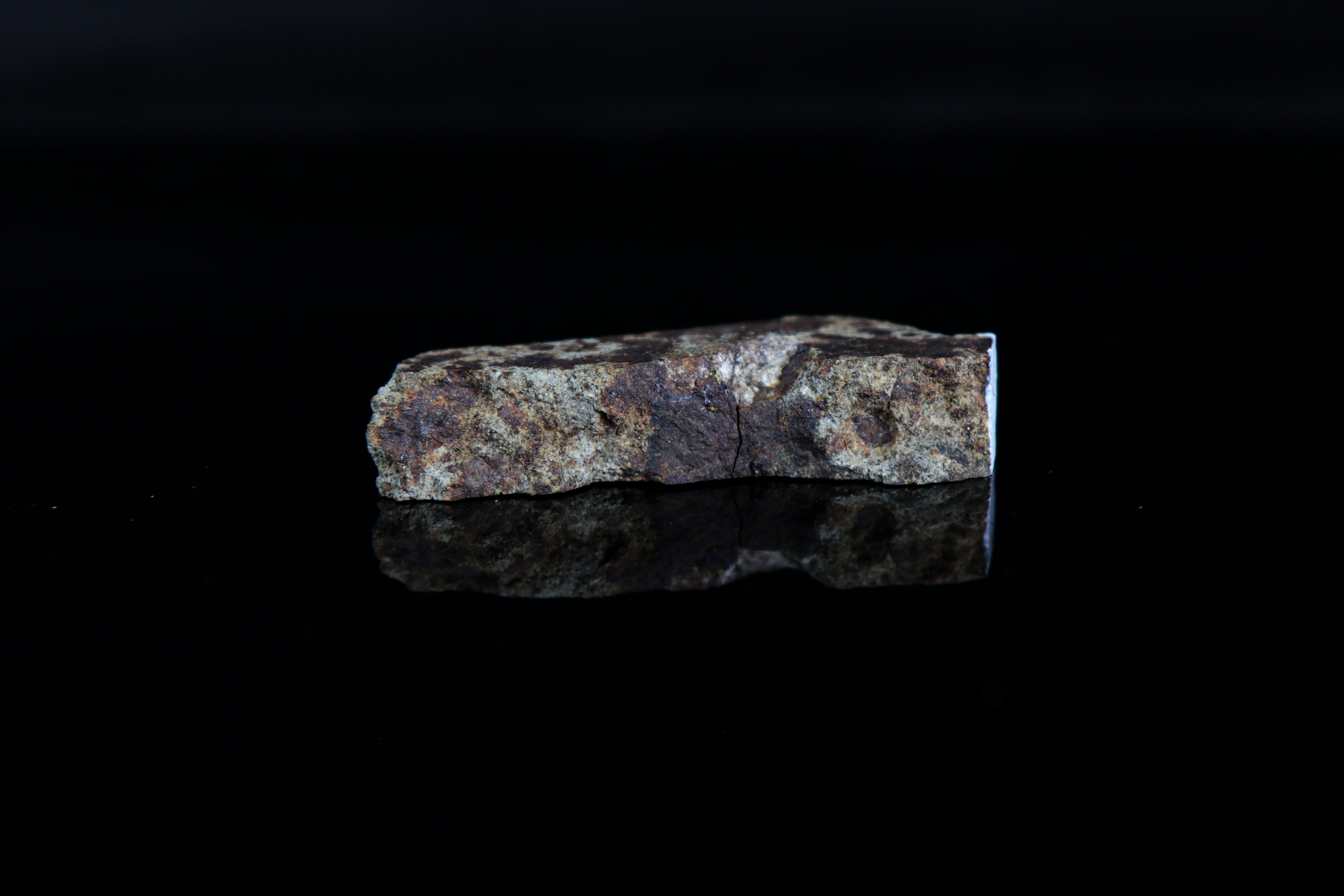 Gretna, L5 Chondrite Polished Thick Slice - 24.94 grams