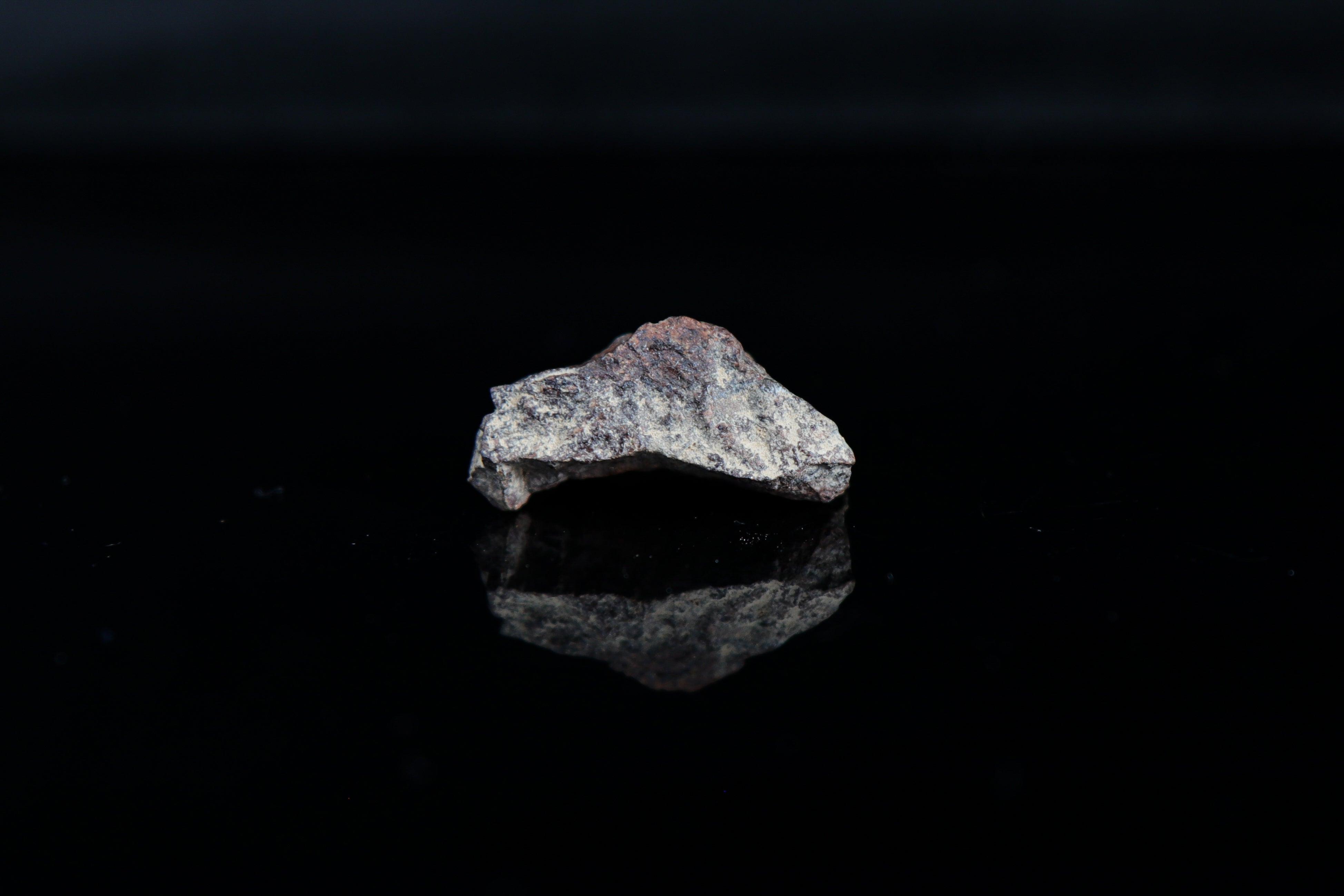 Gold Basin, L4 Chondrite with Dark and Light Side - 14.38 grams