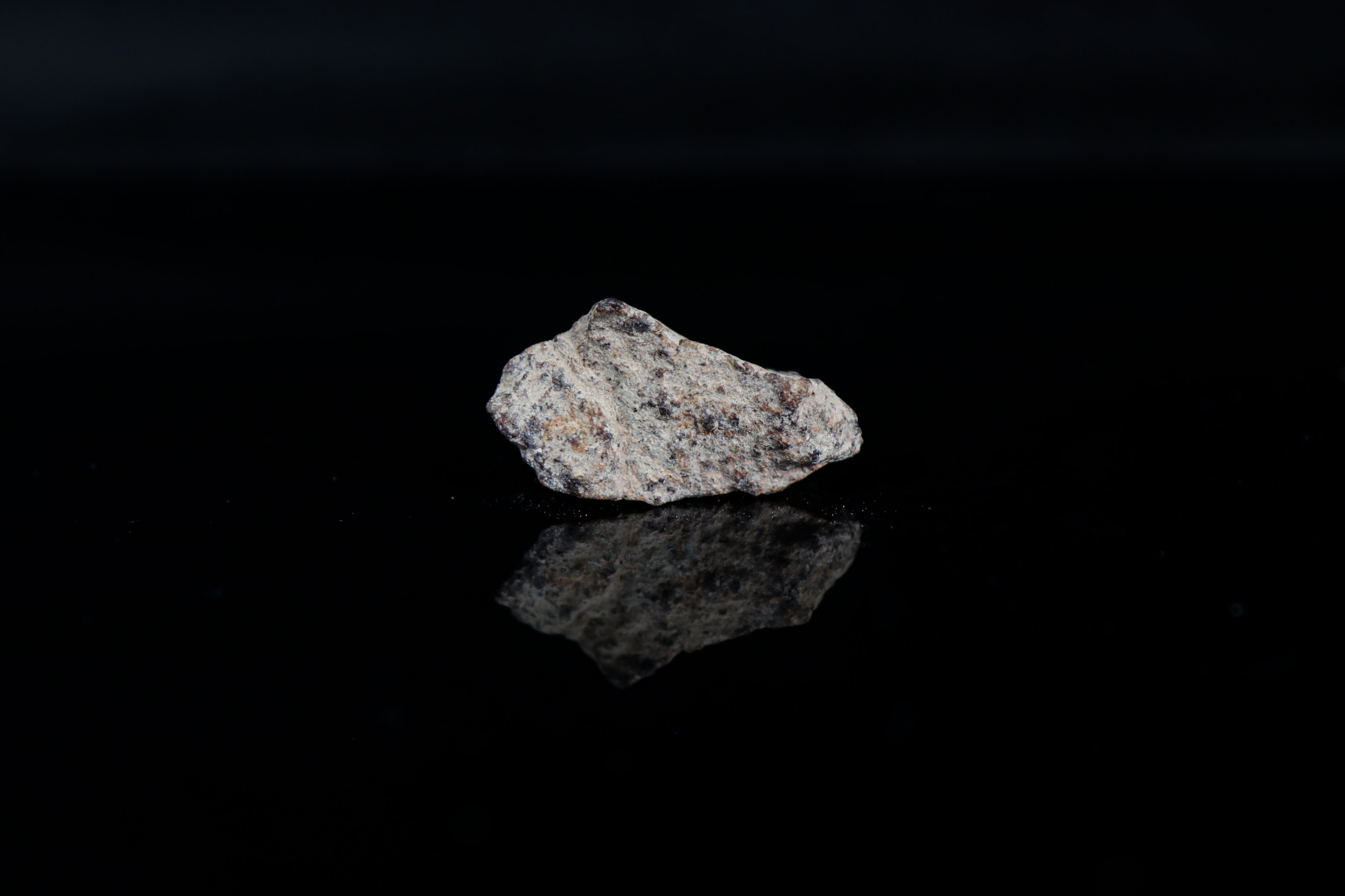 Gold Basin, L4 Chondrite with Speckled Exterior - 15.9 grams