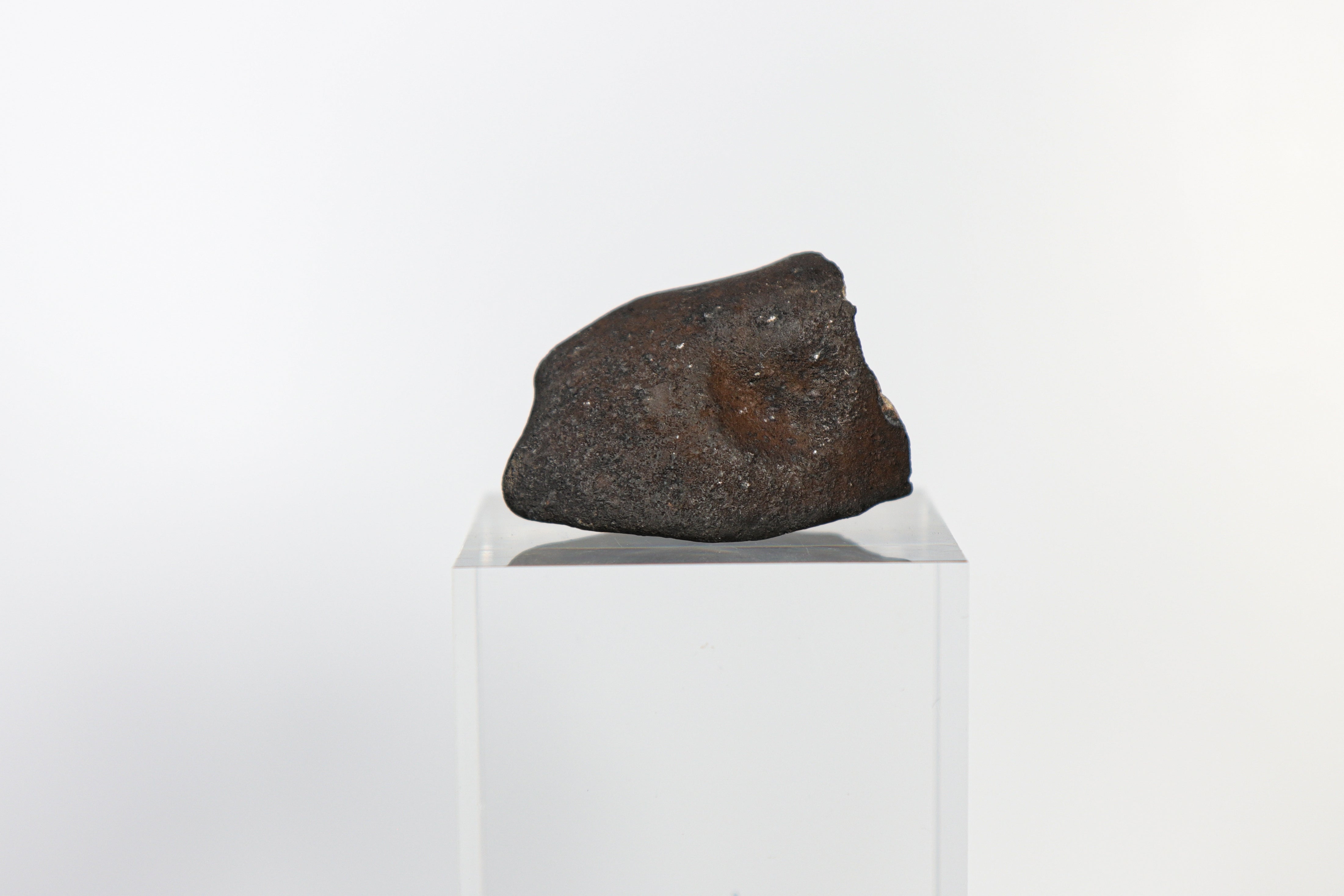 Tana River Witnessed Christmas Eve Fall, FRESH Fusion Crust and Exposed Matrix - 31.09 grams