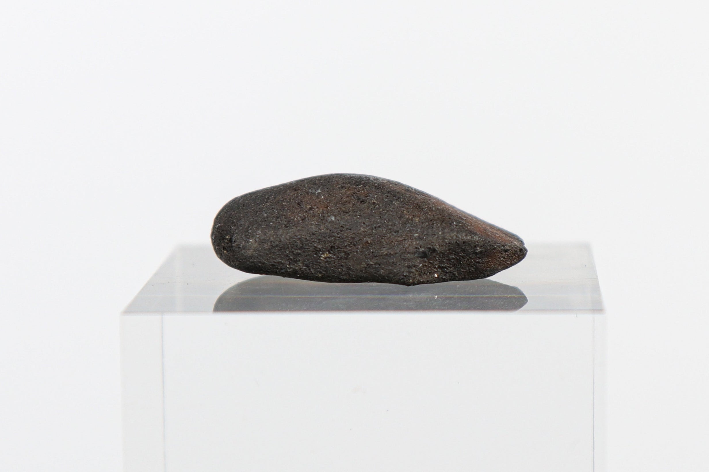 Tana River Witnessed Christmas Eve Fall, Fusion Crusted with Oriented Shape and Impact Marks - 11.27 grams
