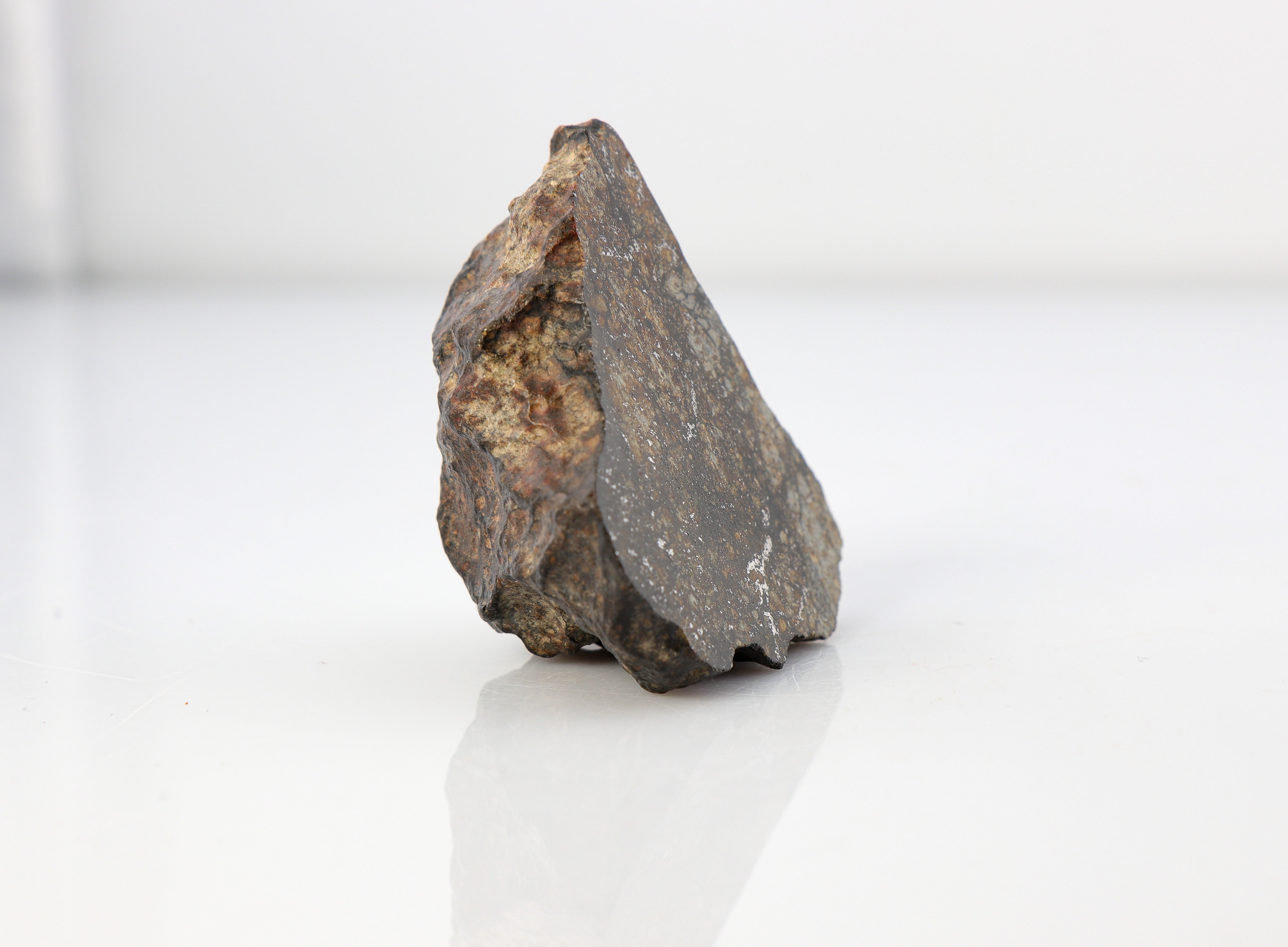 Meteorite End Cut - Classified as NWA 16794 with Visible Metal and Stunning Shock Veins - 66.8 grams