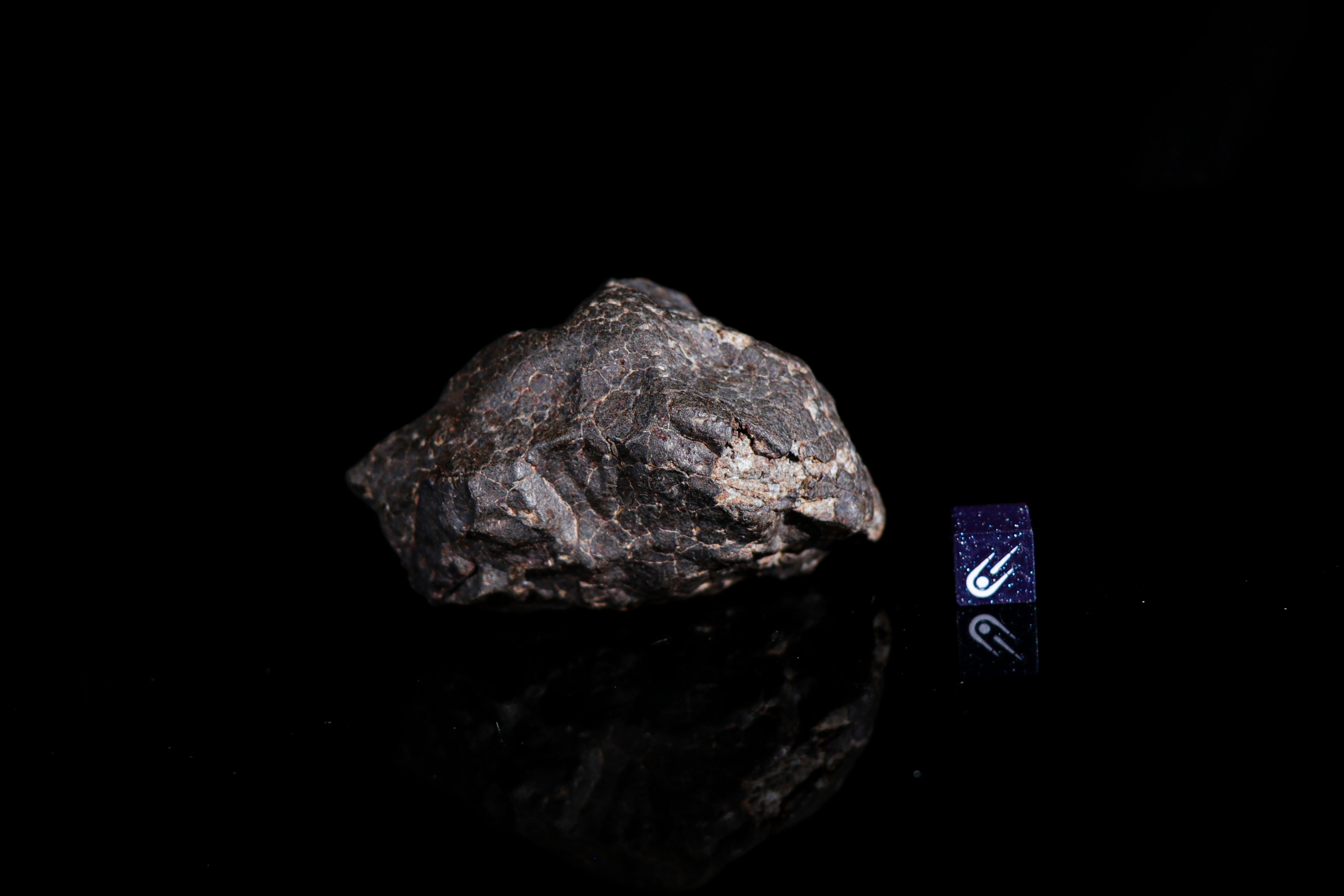Hammadah al Hamra 346, Fusion Crusted Chondrite with Regmaglypts - 155.66 grams