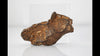 Gebel Kamil Iron Meteorite with Desert Scorched Sienna Patina and Shear Lines - 293 grams