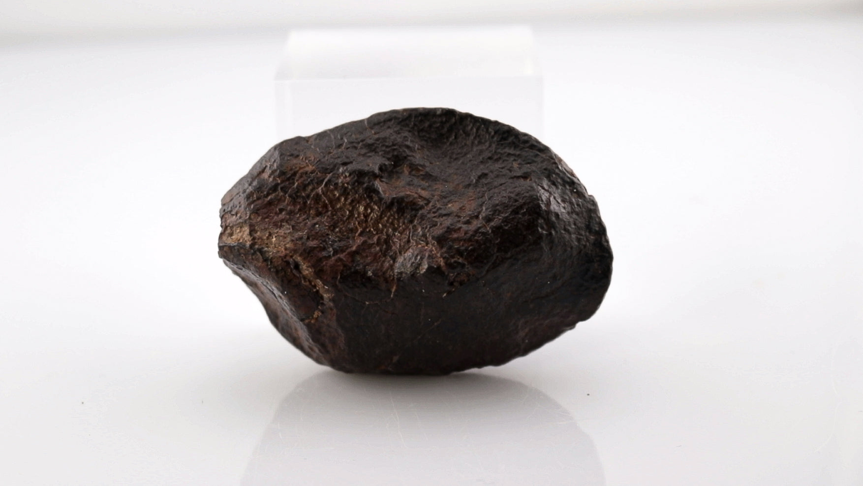 Oriented Shield Shape Meteorite with Contraction Cracks - 159 grams