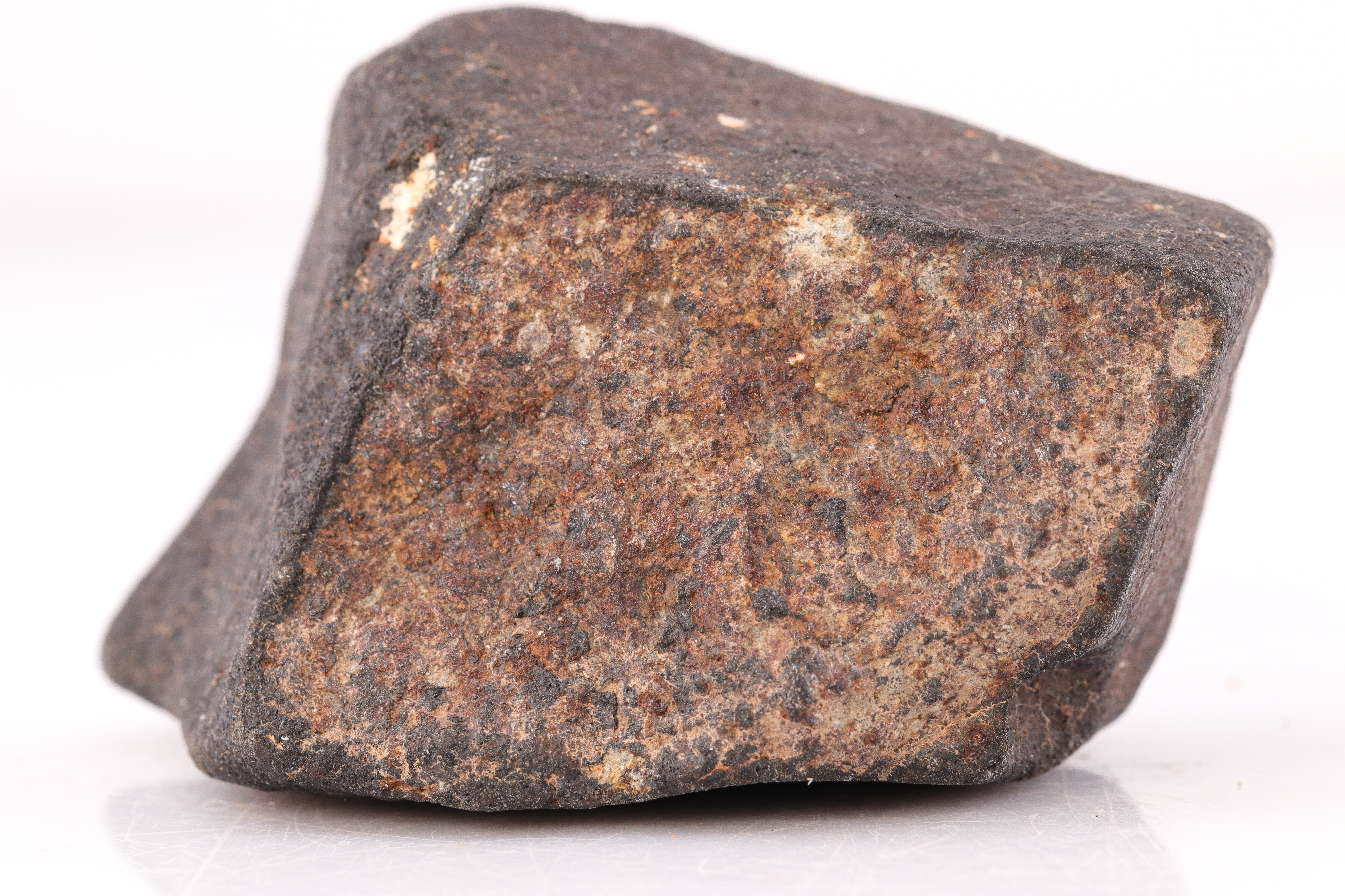 Hammadah al Hamra 346, Fusion Crusted Chondrite with Contraction Cracks - 101.68 grams