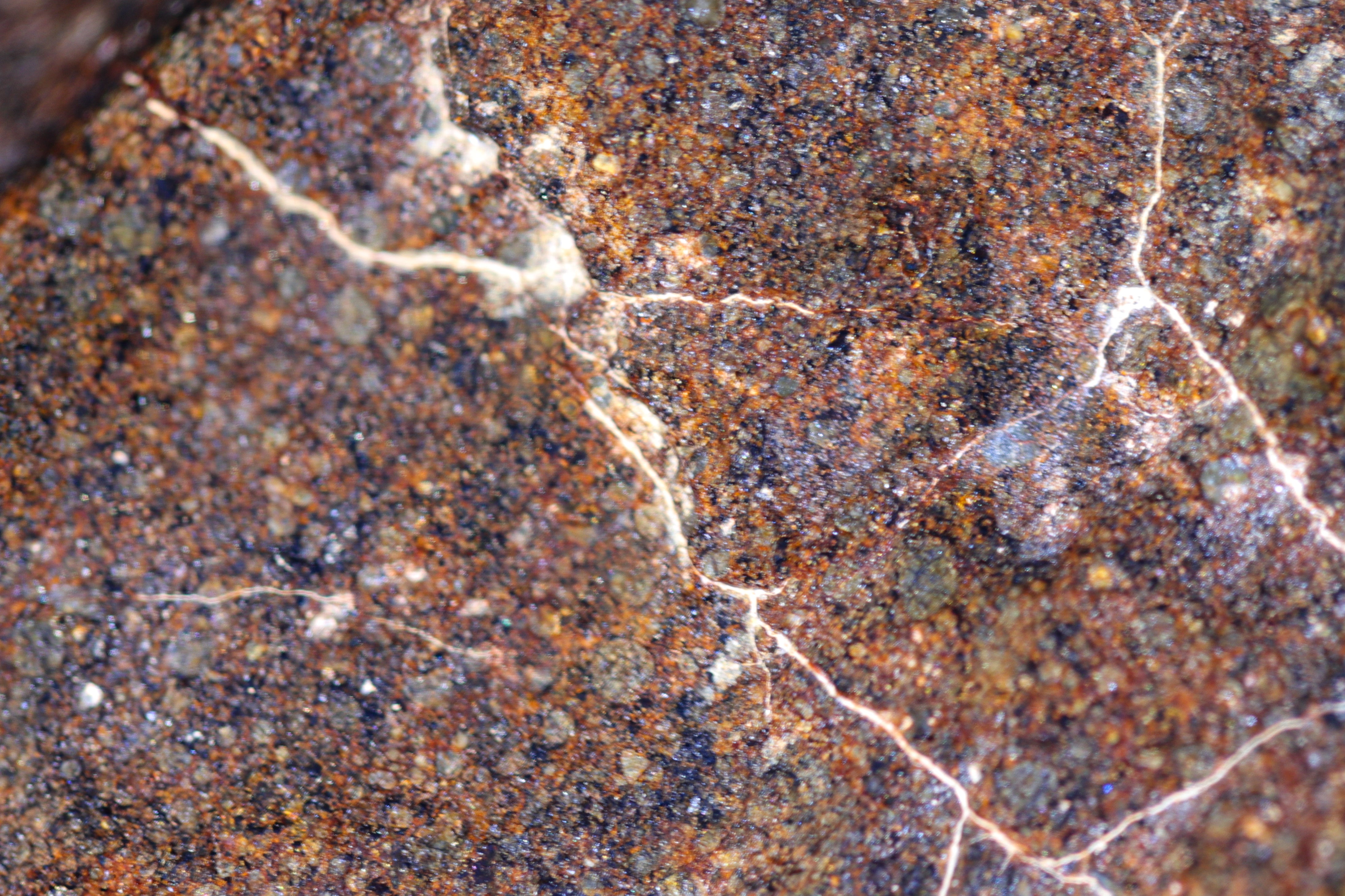 Cross Polarized Light