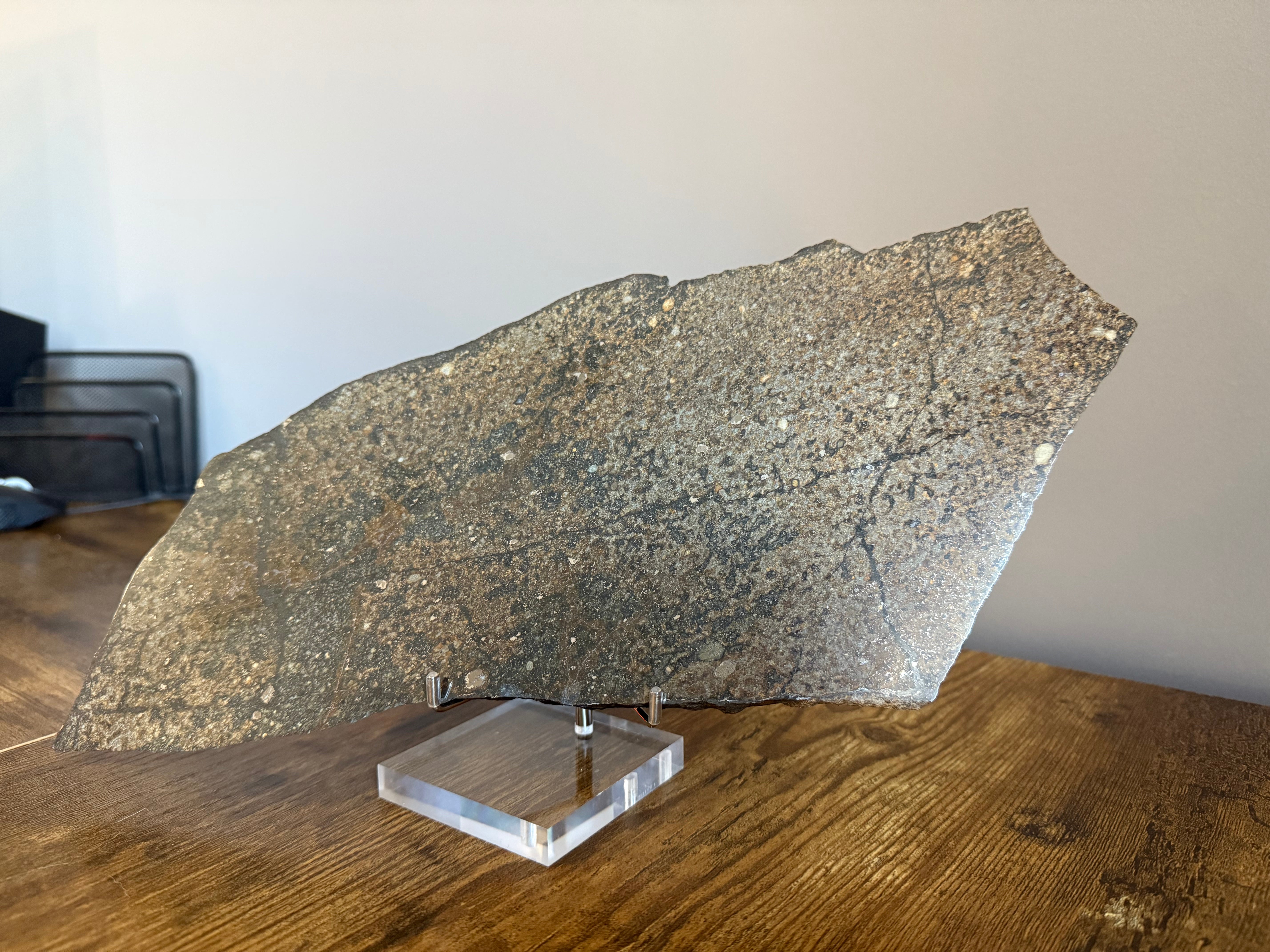 Chondrite Meteorite Slice with Everything! Chondrules, Breccia, Shock and Melt Veins - 1061 grams