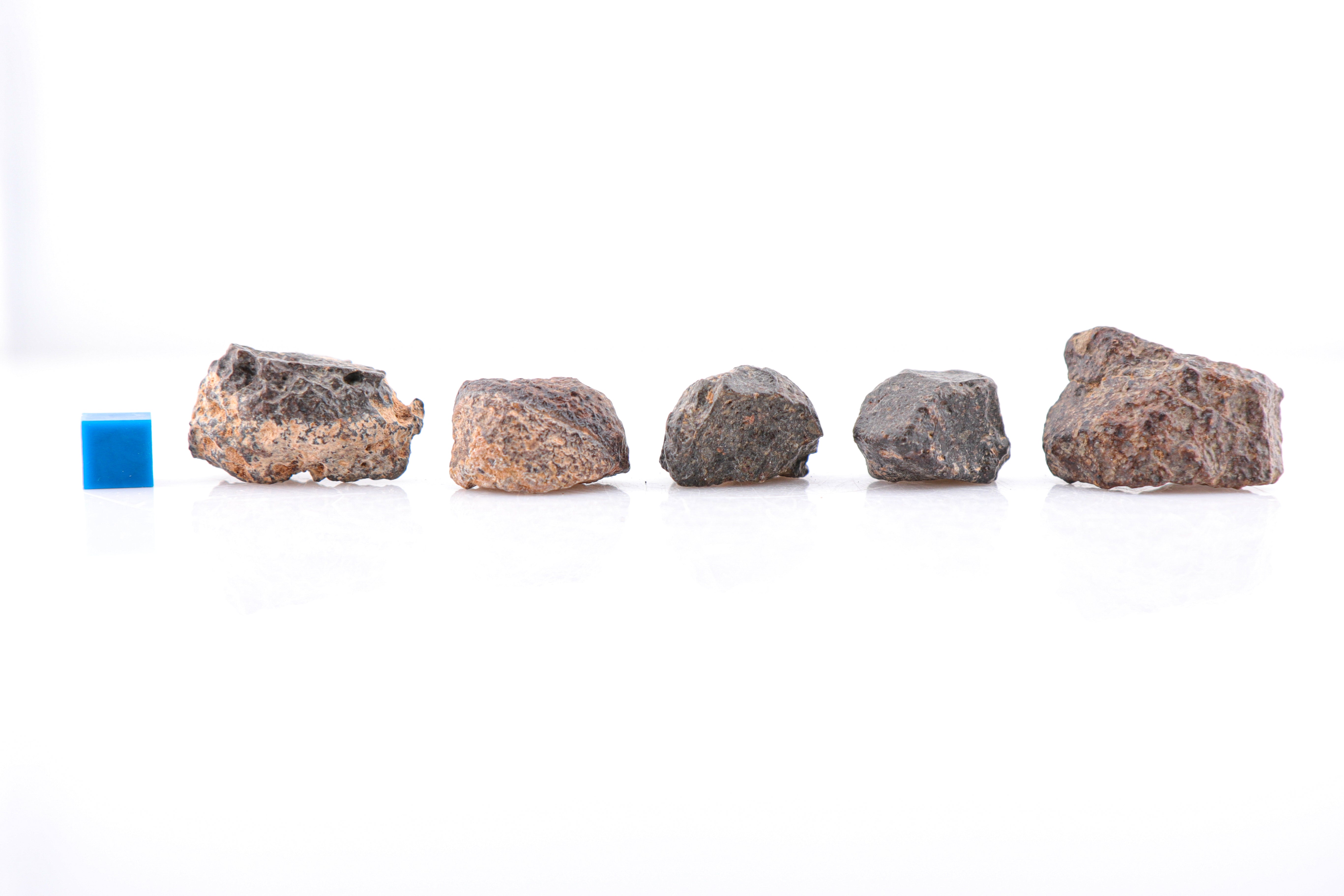 Midnight Meteorites