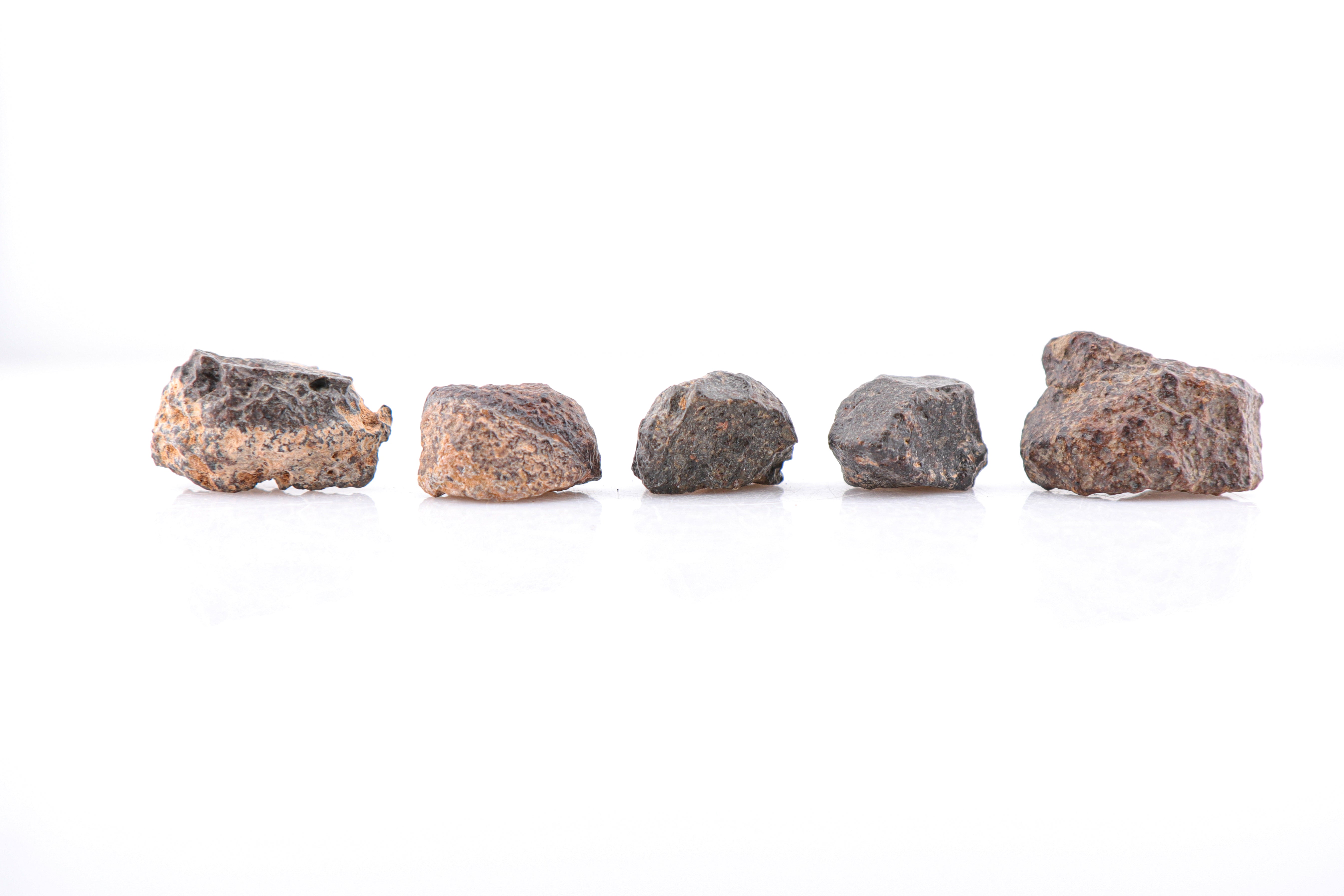 Meteorite Box Medium (11-20 grams)