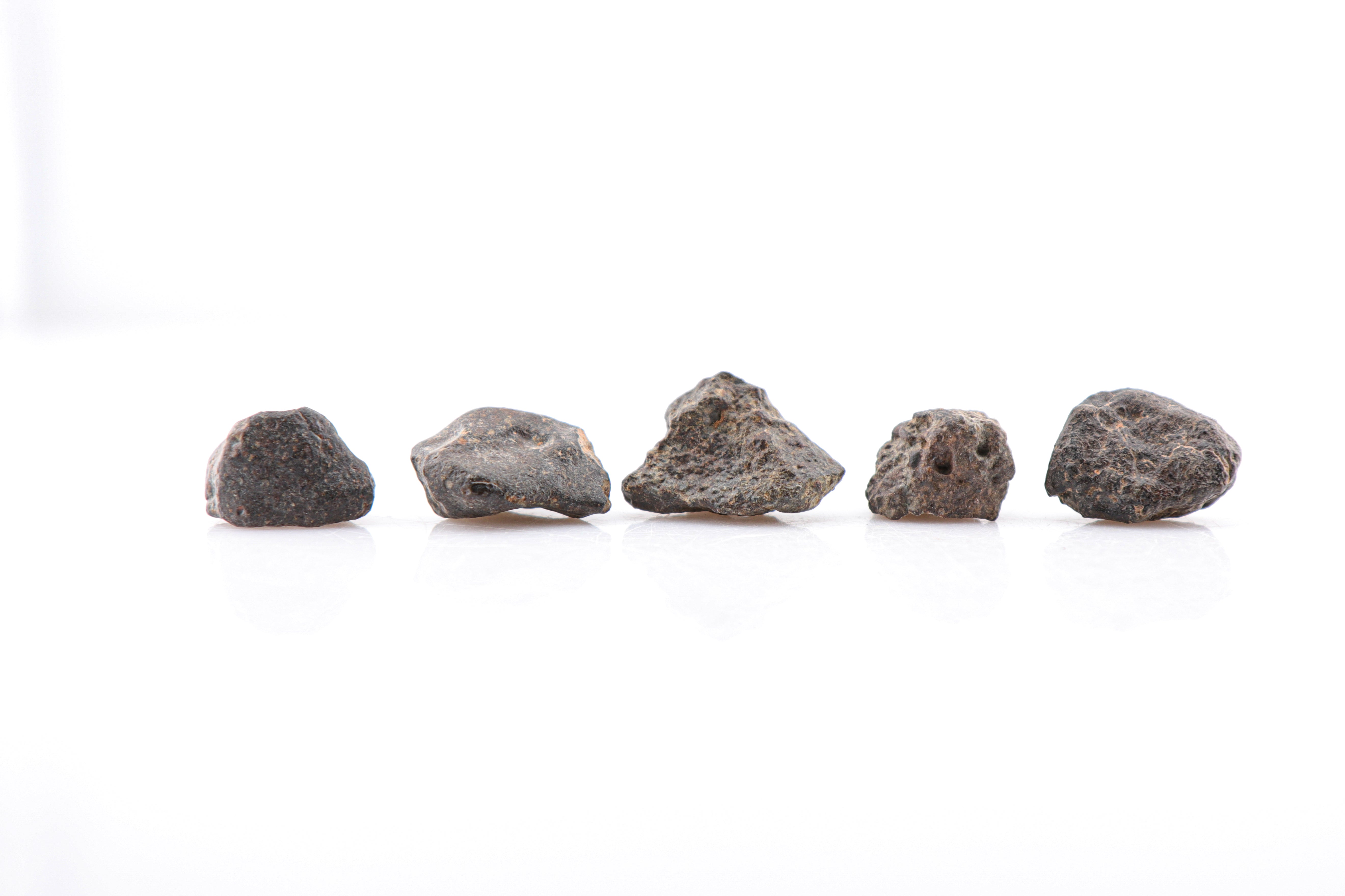 Midnight Meteorites